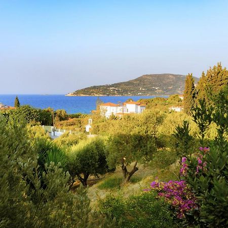 Kedros Hotel Samos Island Ngoại thất bức ảnh