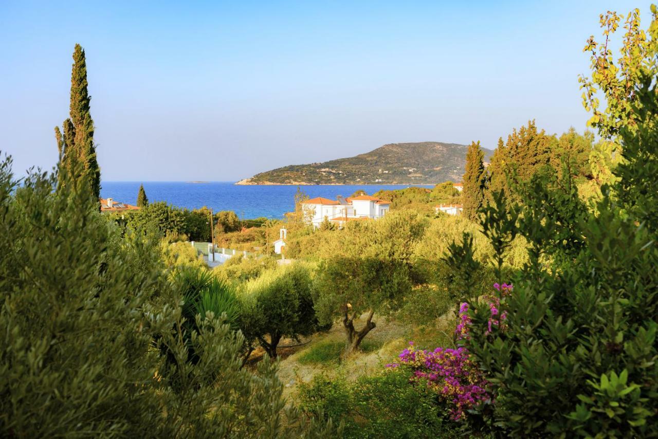 Kedros Hotel Samos Island Ngoại thất bức ảnh